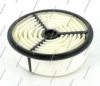 NPS T132A36 Air Filter